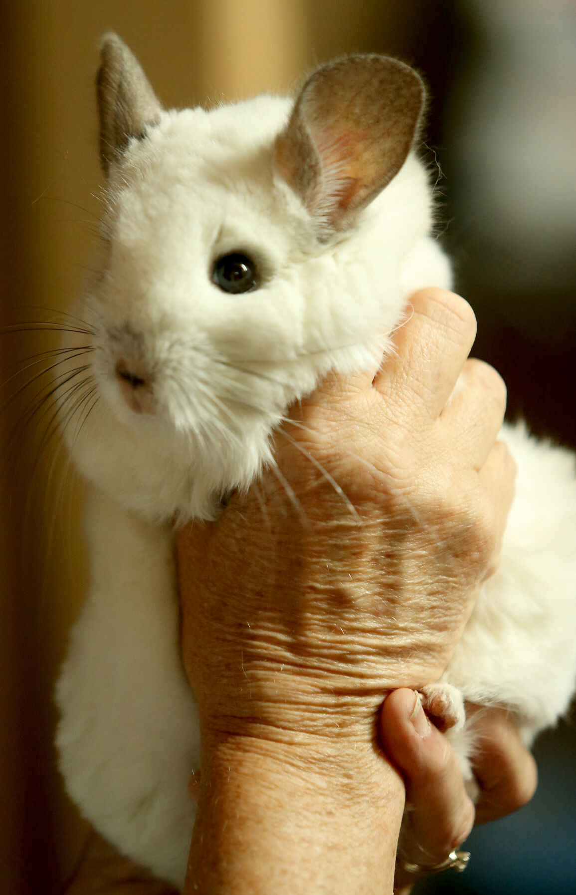 060518-qct-animal-sanctuary-024